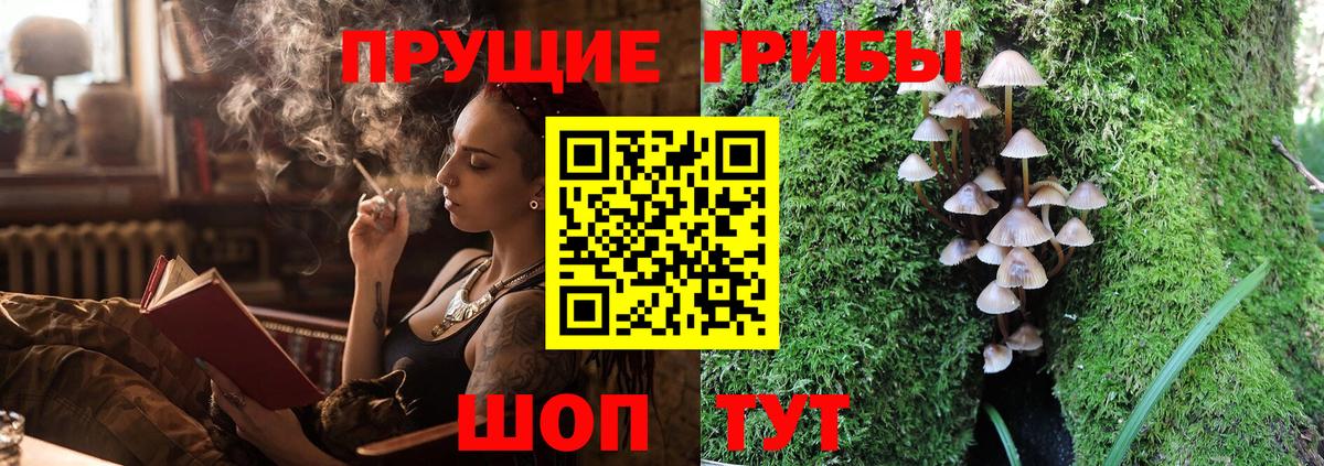дарнет шоп  Псилоцибиновые грибы прущие грибы  Вход с VPN  Галлюциногенные грибы мухоморы  Кунгур 