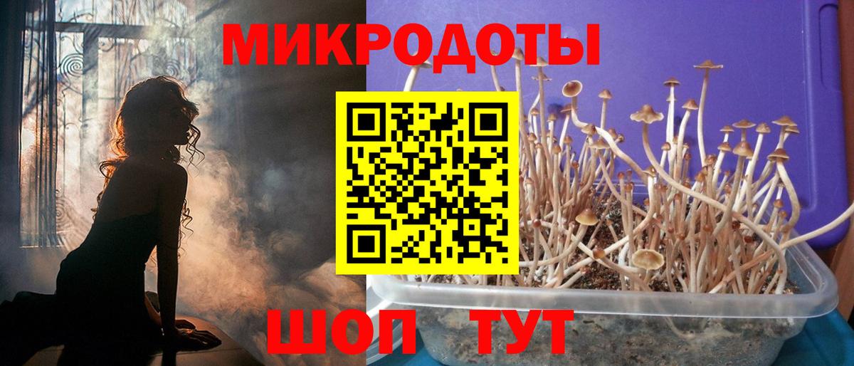 Псилоцибиновые грибы мухоморы Кунгур